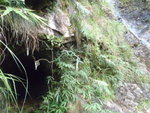 瀑旁山洞有冷氣吹出
P7150267