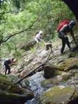 上溯新桂田右坑, 仍然有水管, 還有用嗎?
P7150300