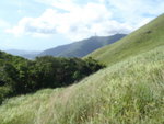 踏草坡上山途中左望仍見小梧桐山
P7150326