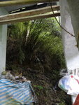細梁在橋尾穿竹林下來
DSC00474