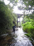 上溯西馬肚坑, 回望石橋
DSC00477