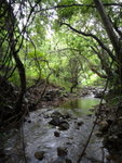 DSC00483