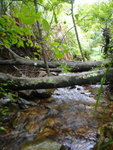 DSC00489