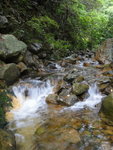 DSC00491