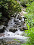 DSC00493