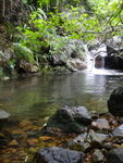 上溯西馬肚坑
DSC00498