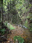 DSC00500