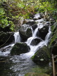 上溯西馬肚坑
DSC00503