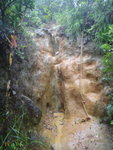DSC00654