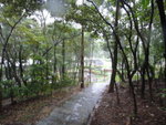 涼亭左右都是家樂徑可落馬鞍山燒烤場, 上次行了右邊條路, 今次落左邊
DSC00658