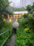落護土牆石級
DSC00670