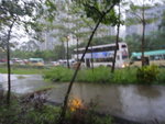 小路穿高速路橋底落至馬鞍山路旁
DSC00672