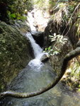上溯龍尾坑
DSC04441