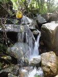 上溯龍尾坑
DSC04527