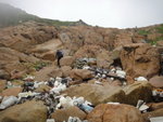 至一"垃圾"灘上岸
DSC04763