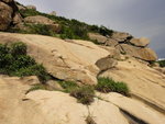 DSC04945