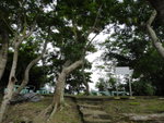舂坎角公園
DSC04988