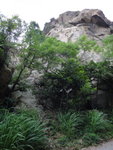 途中右邊見有舊路標, 可能這裏可以上舂坎山
DSC04995