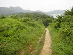 DSC05782