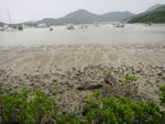 白沙灣
DSC05789
