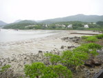 DSC05789a