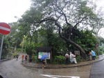 穿獅子會出西貢公路
DSC05796