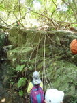 P962195