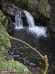P962451