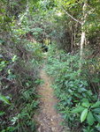 轉右接山路
P962468