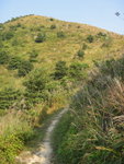 又要上山
DSC09562
