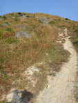 DSC09564