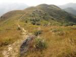 DSC09571