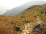 山路右望見白角
DSC09573