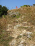 DSC09574