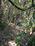 上溯馬塘坳坑, 不過似乎己源盡於林中
DSC02371