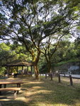 道旁野餐地及涼亭
DSC02531
