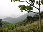 龍欣道回望澗谷, 就在山下大廈旁
DSC03129