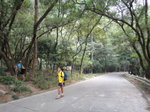 原來護土牆前少少便轉左入林中小路
DSC03132