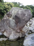 蠄蟝石, 不過似狗頭石多啲噃
DSC03934