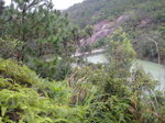 山路左望見藍地水塘及水壩
DSC04440