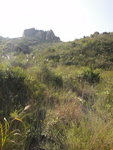 左邊離澗往石塔進發
DSC05581