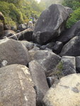 DSC05689
