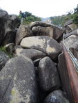 DSC05705