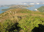 至山坳沿北脊落山, 右見索罟灣及鹿洲山, 左見洪聖爺灣. 遠處是香港島的香港仔區
DSC05991