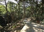 左邊石級是泰山澗步道, 可接入泰山澗
DSC06243