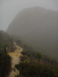 回望隱約見到剛才落山路
DSC06534
