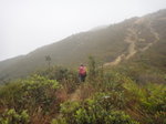 一路沿往北的山路上上落落前行
DSC06536