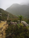 回望剛才落山路, 真係幾企&#21523;
DSC06538
