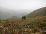 前望一片茫茫
DSC06539