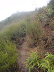 DSC06540